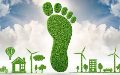 How Manufacturers Can Reduce Their Carbon Footprint