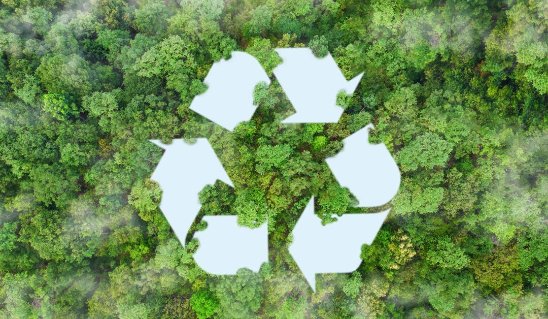 How Solvent Recycling Contributes to the Circular Economy