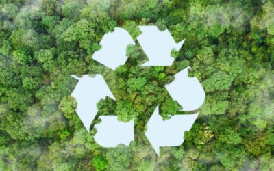 How Solvent Recycling Contributes to the Circular Economy