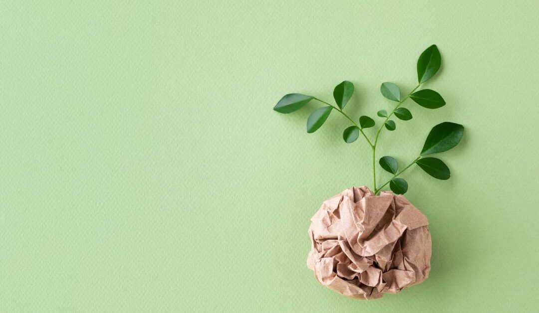 Ultimate Guide to Sustainable Waste Solutions