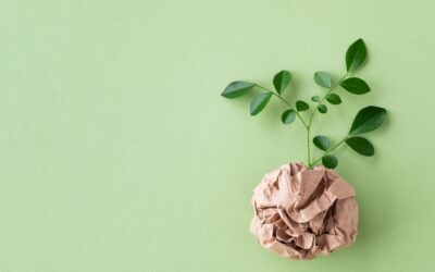 Ultimate Guide to Sustainable Waste Solutions