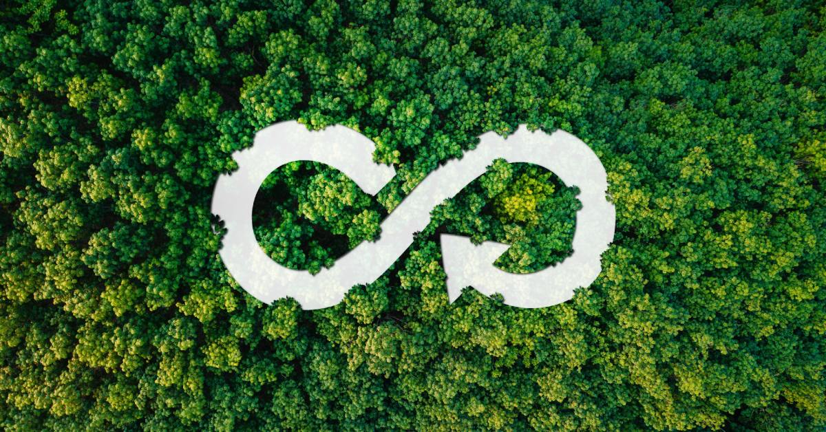 An aerial view shows a dense forest of mature trees with green leaves. A white infinity symbol sits on top of the trees.