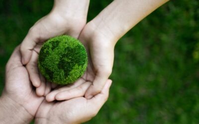 All About Sustainable Solvent Waste Disposal Methods